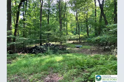 Banko Lane, Lower Saucon Township, PA 18055 - Photo 5