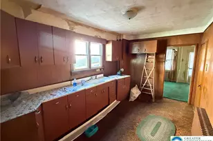 229 Patterson St, Lansford, PA 18232 - Photo 29