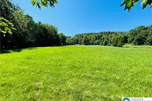 439 Butternut Rd, Newfoundland, PA 18445 - Photo 33