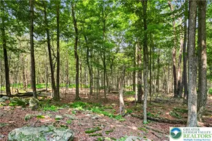 1022 Hilltop Dr, Newfoundland, PA 18445 - Photo 29