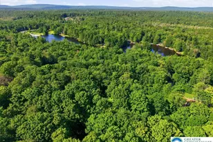 170 Onocop, Pocono Lake, PA 18347 - Photo 69