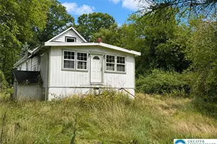 3540 Mountain Rd, Slatington Boro, PA 18080 - Photo 3