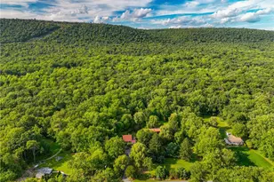 364 W Mountain Rd, Bushkill Twp, PA 18091 - Photo 63