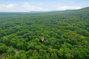 256 Birch Hollow Dr, Chestnuthill Twp, PA 18330 - Photo 9