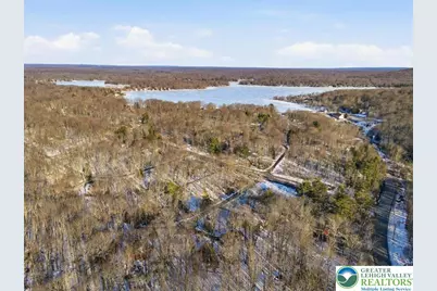 173 Bushkill Drive, Pocono Lake, PA 18347 - Photo 51