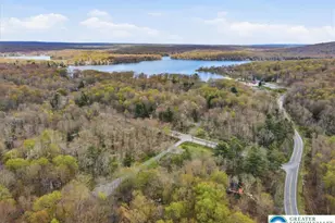 173 Bushkill Dr, Pocono Lake, PA 18347 - Photo 23