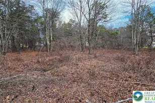 Indian Way, East Stroudsburg, PA 18302 - Photo 1