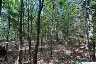311 Woodland Road & Deerfoot Ln, Penn Forrest, PA 18210 - Photo 1