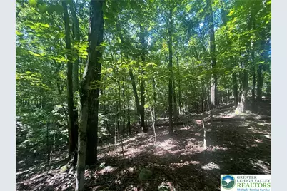 T 508 Lots #15 and #16 Road, East Stroudsburg, PA 18302 - Photo 5