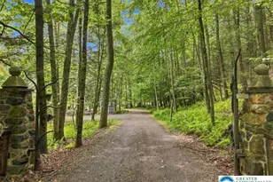131 Ski Haven Dr, Paradise Twp, PA 18326 - Photo 77