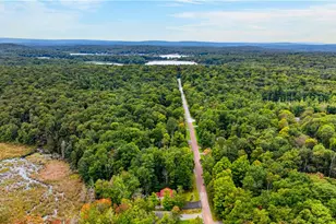 533 Maxatawny Dr, Pocono Lake, PA 18347 - Photo 47