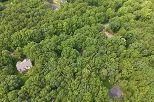 38 Payallup Trail, Penn Forrest, PA 18210 - Photo 87