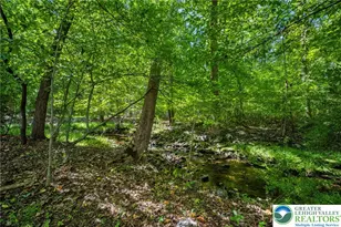 3479 Mango Dr, Lehigh Township, PA 18038 - Photo 53