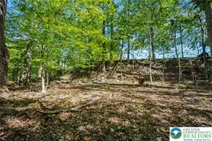 3479 Mango Dr, Lehigh Township, PA 18038 - Photo 59