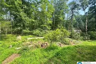 2156 Paper Birch Ln, Bear Creek Twp, PA 18661 - Photo 3