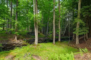 178 Westcolang Rd, Lackawaxen, PA 18435 - Photo 45