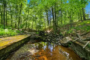 178 Westcolang Rd, Lackawaxen, PA 18435 - Photo 47
