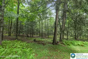 135 Sportsmen Dr, Price Twp, PA 18326 - Photo 27