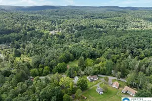 1207 Upper Seese Hill Rd, Barrett Twp, PA 18325 - Photo 47
