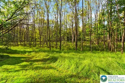 2232 Whitehead Road, Moore Township, PA 18064 - Photo 25