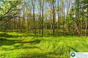 2232 Whitehead Rd, Moore Township, PA 18064 - Photo 25