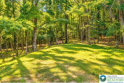 159 Winding Way, Tunkhannock Twp, PA 18210 - Photo 51