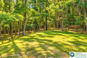159 Winding Way, Tunkhannock Twp, PA 18210 - Photo 51