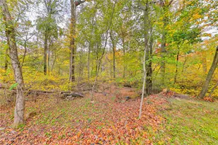 2642 Welshtown Rd, Washington Township, PA 18080 - Photo 69