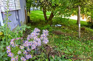 168 E Catawissa St, Nesquehoning, PA 18240 - Photo 33
