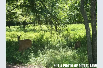 970 Stony Mtn Road, Penn Forrest, PA 18210 - Photo 1