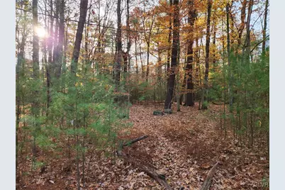 Glen Lane, Jackson Twp, PA 18360 - Photo 1