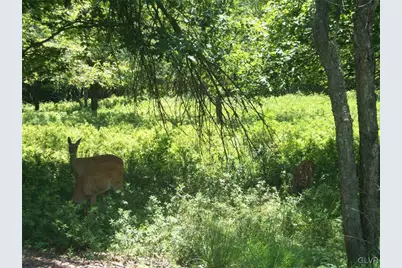 Hunt Trail, Penn Forrest, PA 18210 - Photo 1