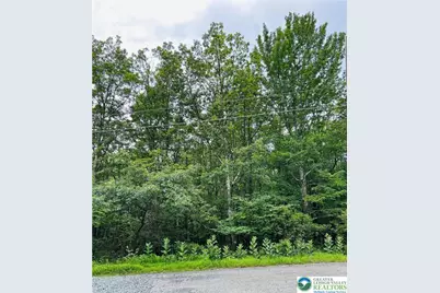 Lot A107 Chippy Circle, Jim Thorpe Boro, PA 18229 - Photo 1