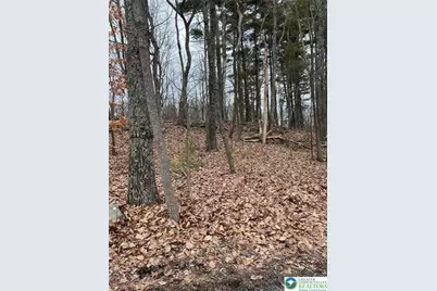 339 Williamson Drive, Smithfield Twp, PA 18301 - Photo 1