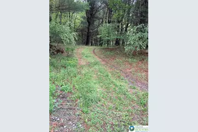 T 560, Eldred Twp, PA 18058 - Photo 1