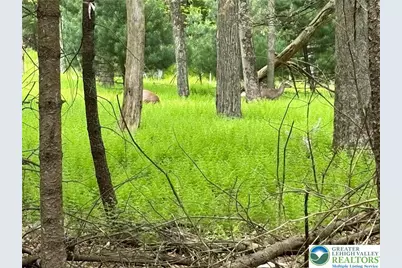 357 Buskirk Lane #T, Eldred Twp, PA 18353 - Photo 1