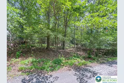 Birch Drive, Jim Thorpe Boro, PA 18229 - Photo 1