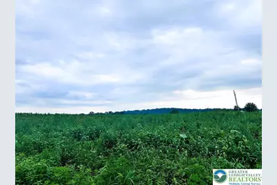 144 Wisser Road, Greenwich, PA 19534 - Photo 1