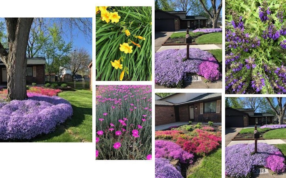 2813 Delcane Dr, Columbus OH  43235-7225 exterior