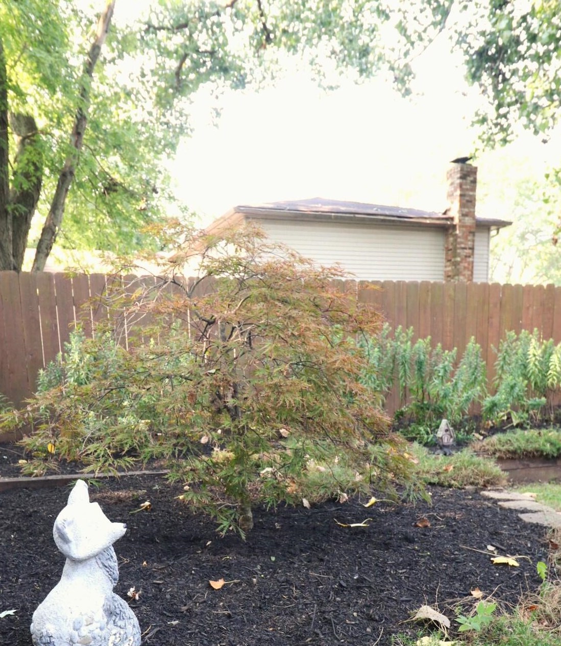 2813 Delcane Dr, Columbus OH  43235-7225 exterior