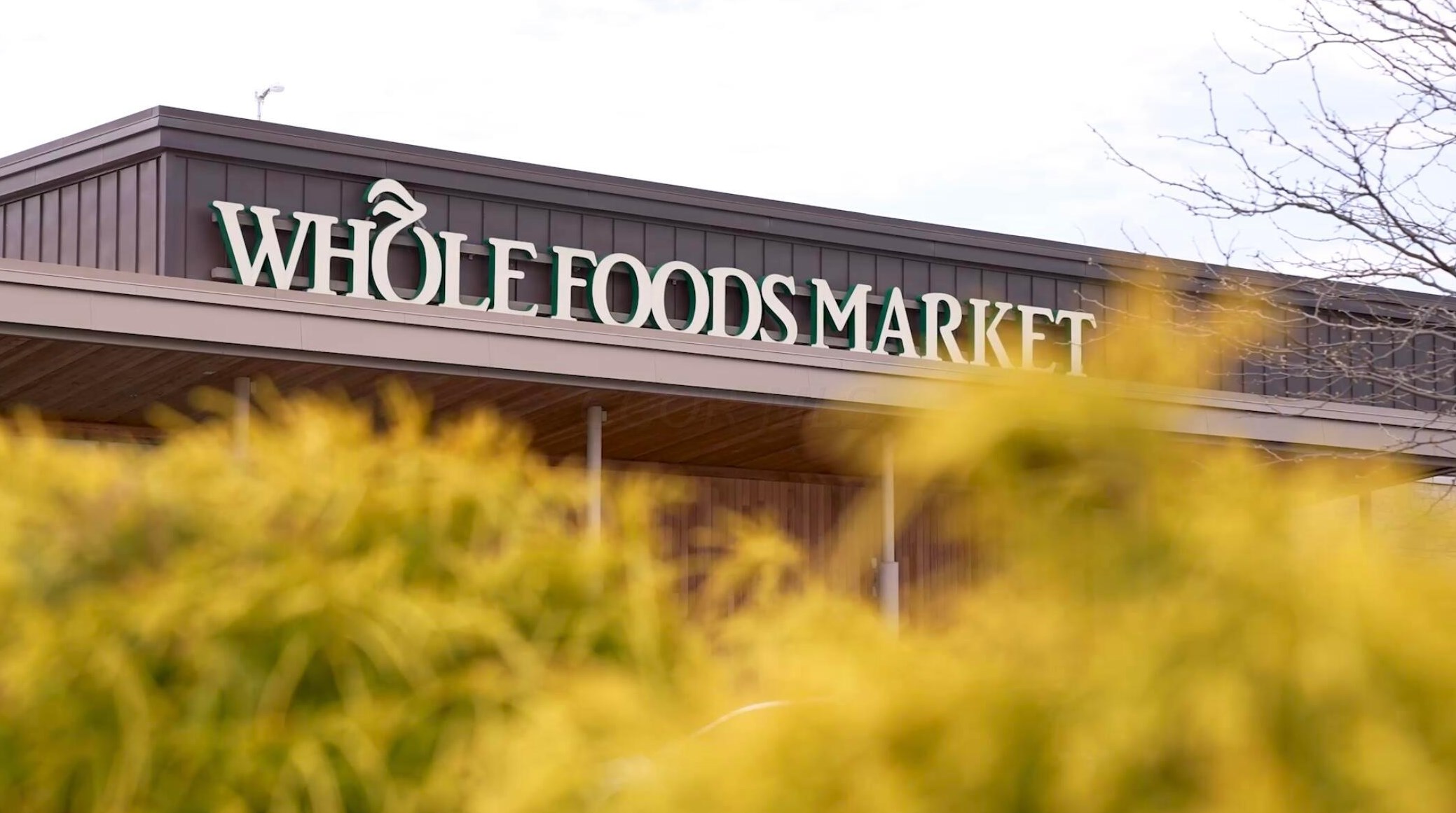 1455 Ashdowne Rd, Columbus OH 43221-3901 exterior