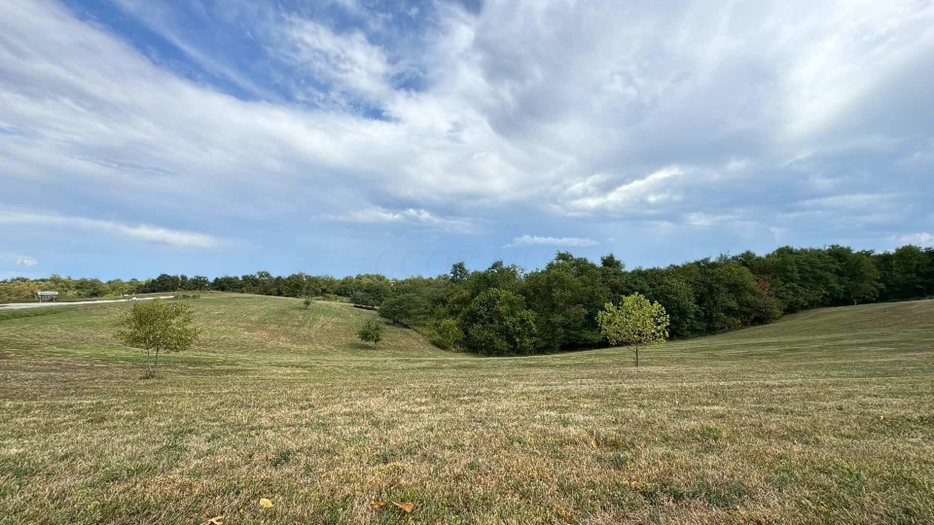 3135 Thomas Rd, Chesterhill, OH 43728 MLS 224031691 Coldwell Banker