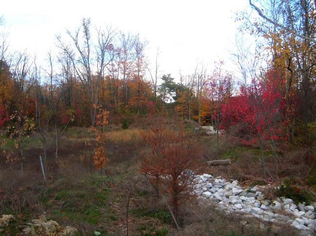 1187 Sanctuary Pl, Columbus OH 43230-8491 exterior