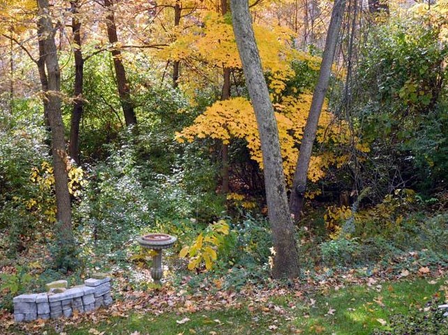 1187 Sanctuary Pl, Columbus OH 43230-8491 exterior