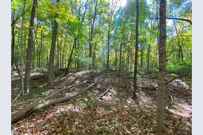 1010 W Herr Road, Urbana, OH 43078 - Photo 49