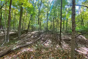 1010 W Herr Rd, Urbana, OH 43078 - Photo 49