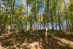 1010 W Herr Rd, Urbana, OH 43078 - Photo 51