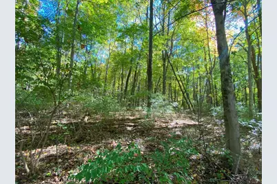 1010 W Herr Road, Urbana, OH 43078 - Photo 47