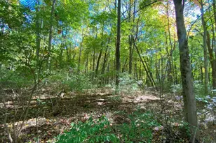 1010 W Herr Rd, Urbana, OH 43078 - Photo 47