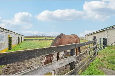 13810 Yankeetown Chenoweth Road, Mount Sterling, OH 43143 - Photo 47
